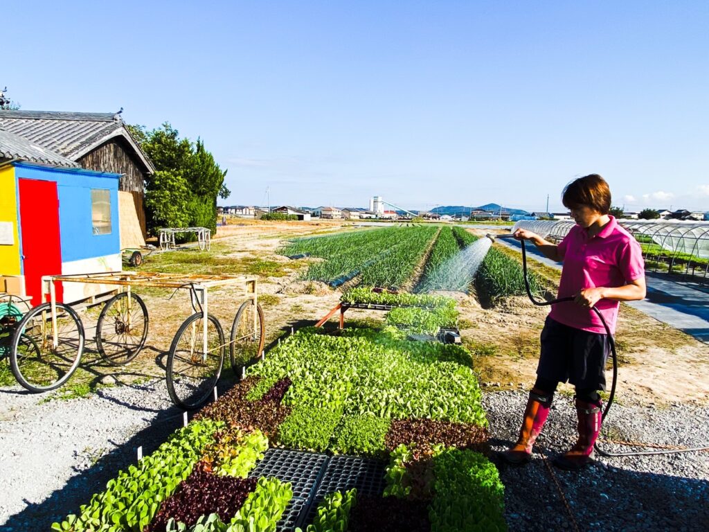 農家の一日 お野菜の水やり編 野口ファーム 農家の一日 お野菜の水やり編 野口ファーム