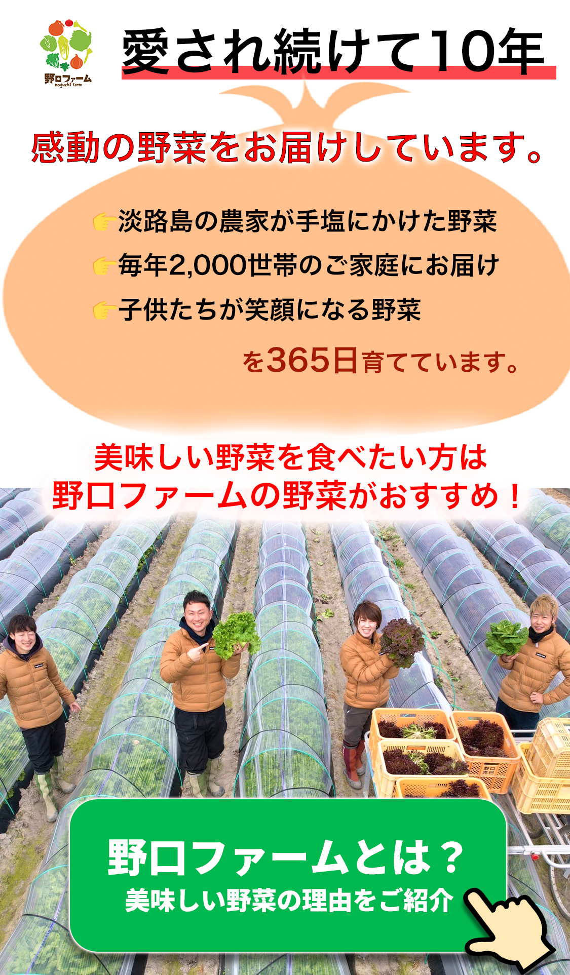 感動の野菜をお届けしています